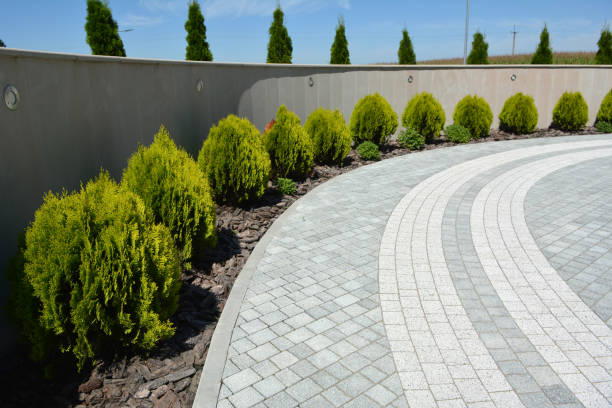 Best Affordable Driveway Paving  in USA